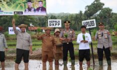 Polisi Turun Tanam Jagung di Gapura, Dukung Ketahanan Pangan