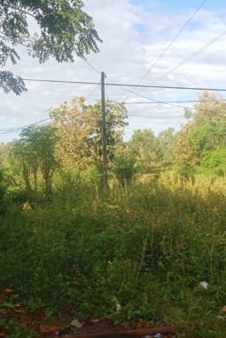 TIDAK ADA SUMUR BOR DARI PEMERINTAH, KETUA KELOMPOK HANYA PIKIRKAN DIRI SENDIRI, ANGGOTA TERBENGKALAI