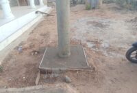 Beton Penahan Kawat tiang listrik yang di pasang PLN berada tepat di halaman warga