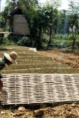 Komisi II DPRD Sumenep Desak Pemkab Segera Tetapkan TIHT 2026, Demi Lindungi Harga Tembakau Petani