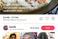 Tampilan layar akun TikTok 