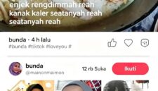 Tampilan layar akun TikTok 