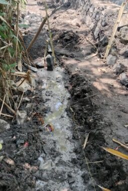 Diduga Tak Sesuai Spesifikasi, Irigasi Banyuwangi Dikecam: Proyek Seumur Jagung Harus Dihentikan & Dikoreksi!